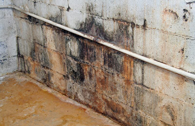 Photo of mold on a residential wall
